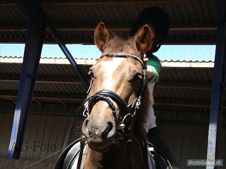 Anden særlig race Buster - tak fordi i gad og kik forbi hejhej billede 20