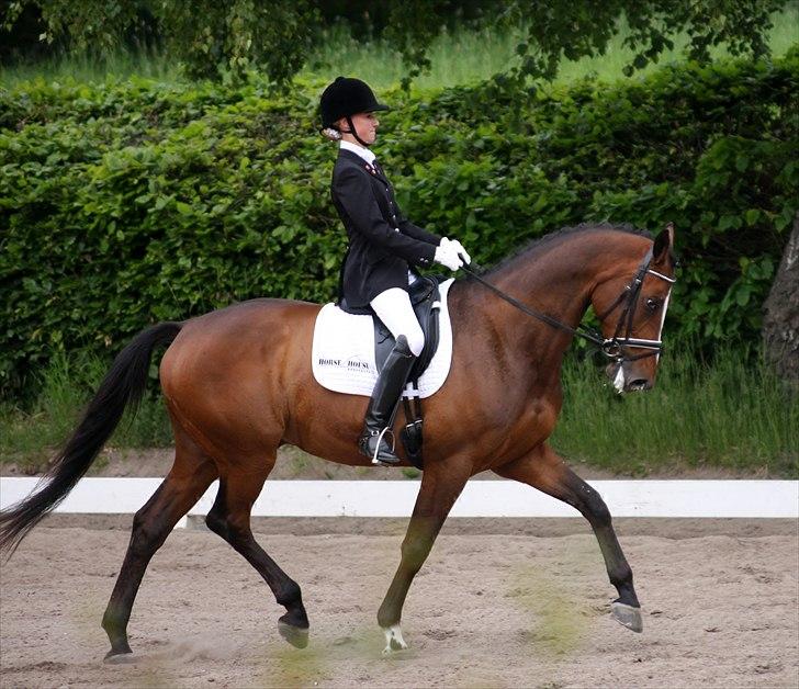 Dansk Varmblod May Candeloro - Stævne HRK maj 2011 billede 2