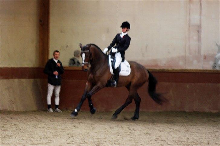 Dansk Varmblod May Candeloro - Stævne SIV forår 2011 billede 3