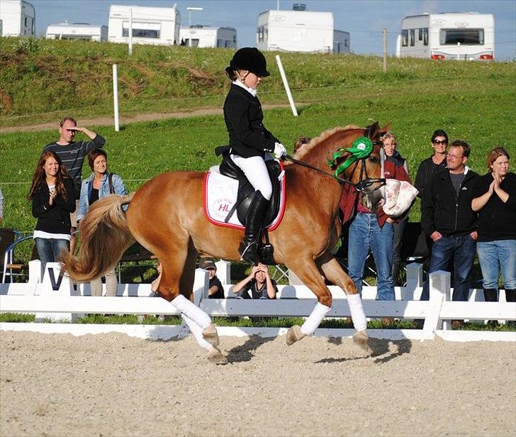 Hollandsk Sportspony Blondie - DM 2010 - Nummer 6 _ elsker den pony.. billede 19