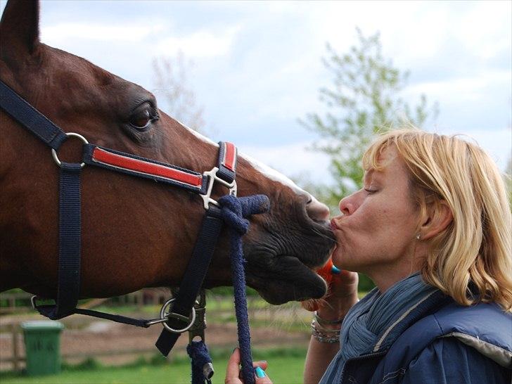 DSP Brown Bodean - solgt - mor Kysser med bodean billede 11