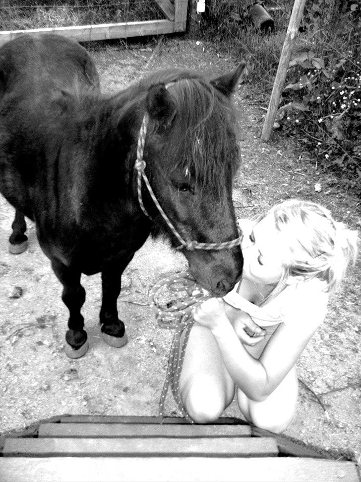 Miniature anemone billede 11