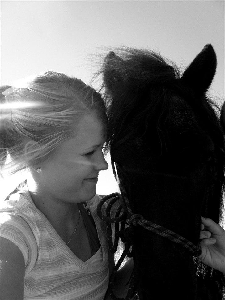 Miniature anemone billede 12