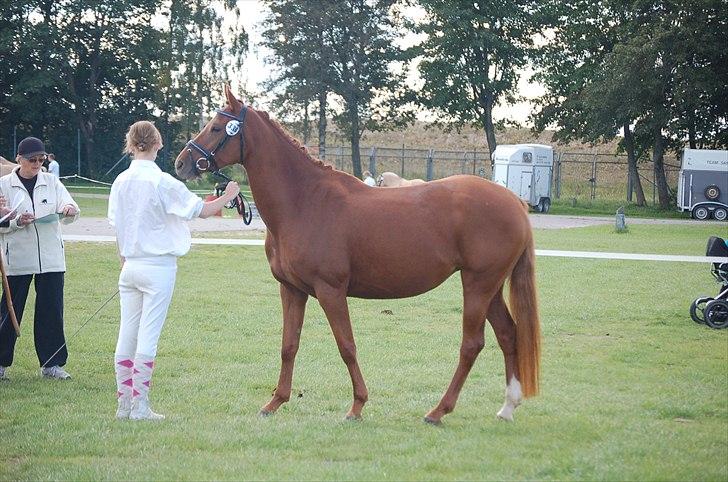 Anden særlig race Mon Cherie Solgt :'( billede 4