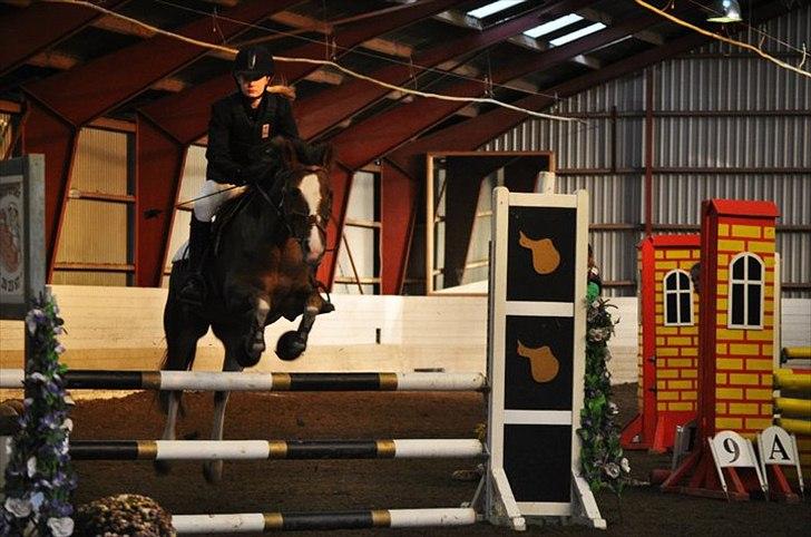 Hollandsk Sportspony Ainoa Van Uniken - Spring-stævne LA** billede 10