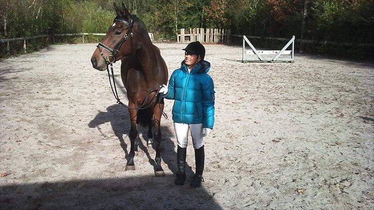 Dansk Varmblod Skovtoftens It's a Bella - stævne SJRK 2011 billede 2