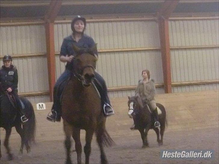 Anden særlig race Pretty Princess SOLGT billede 16