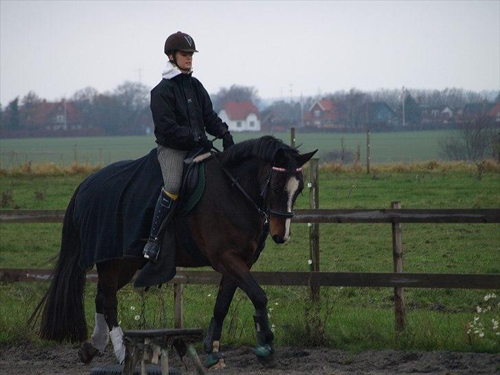 Anden særlig race Macho - - melanie jensen billede 7