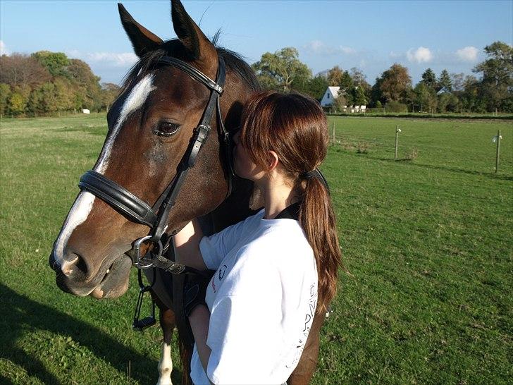 Anden særlig race Macho - - Bo Andersen billede 3