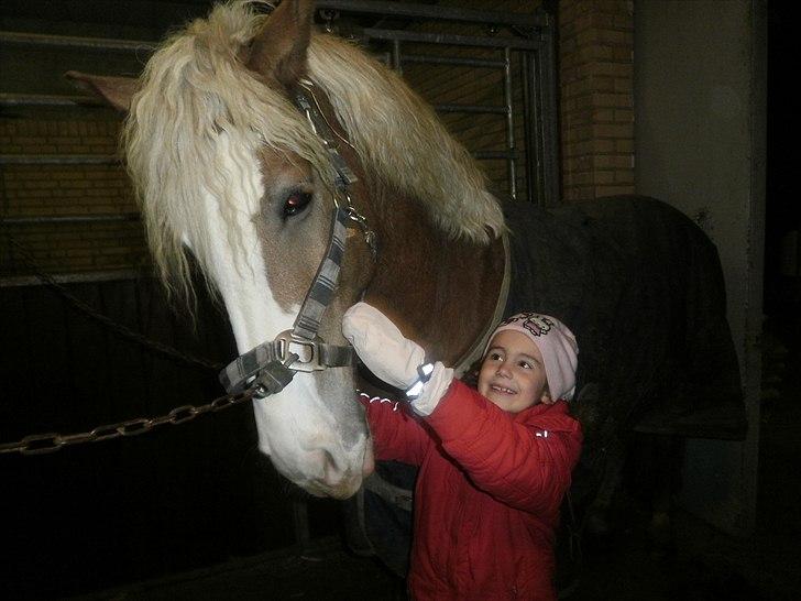 Haflinger Alladin Hestbjerggaard <3 - Alladin og min lillesøster Mathilde <3 (: billede 13