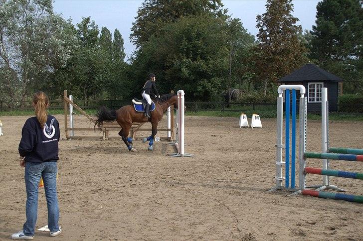 DSP Nørlunds kentucky - kentucky & mig til stilspring :) billede 6