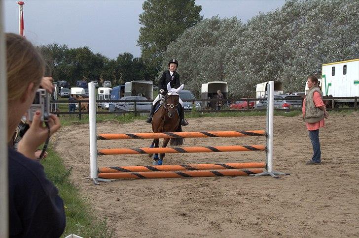 DSP Nørlunds kentucky - kentucky og mig til stilspring :) billede 9