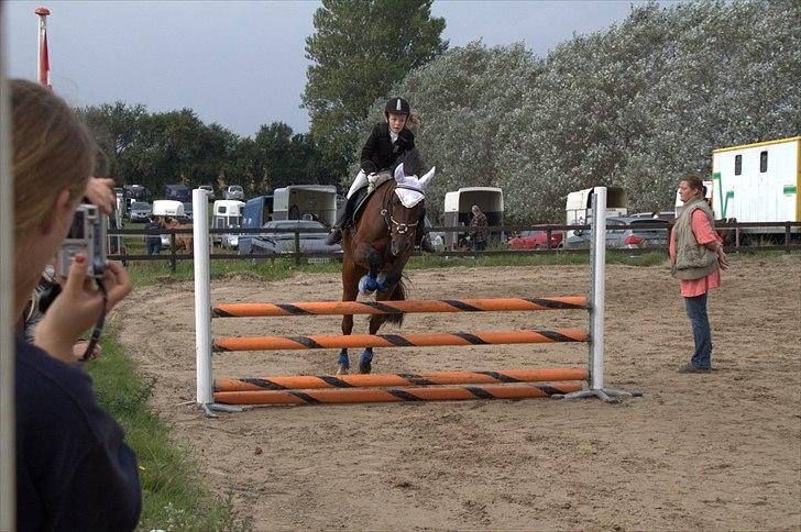 DSP Nørlunds kentucky - kentucky & mig til stilspring :) billede 10