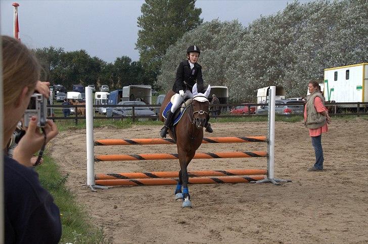 DSP Nørlunds kentucky - kentucky & mig til stilspring :) billede 11