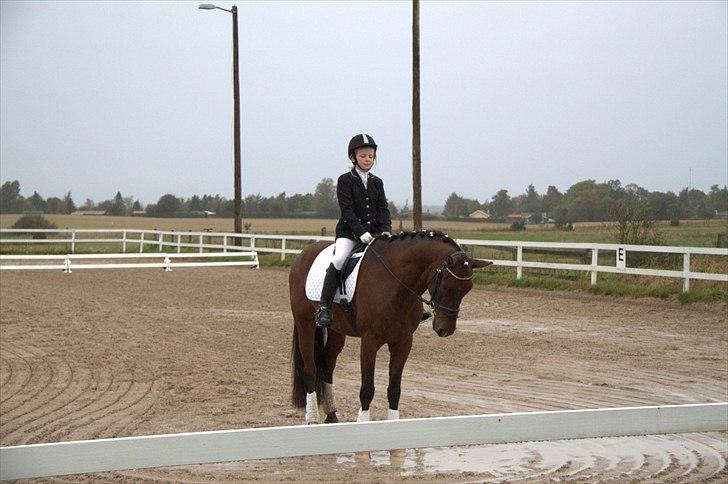 DSP Nørlunds kentucky - kentucky & mig til dressur stævne m. 3.pladsen :) billede 14