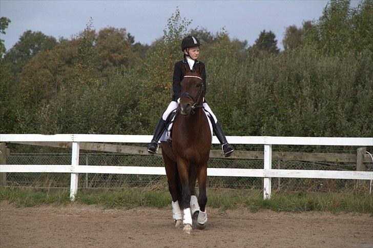 DSP Nørlunds kentucky - kentucky & mig til dressur stævne m. 3.pladsen :) billede 15