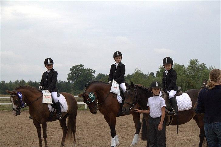 DSP Nørlunds kentucky - kentucky &  mig til dressur stævne m. 3.pladsen :) billede 18