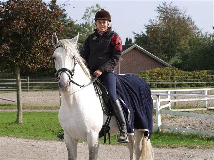 Lipizzaner Amadeus ("part") billede 5