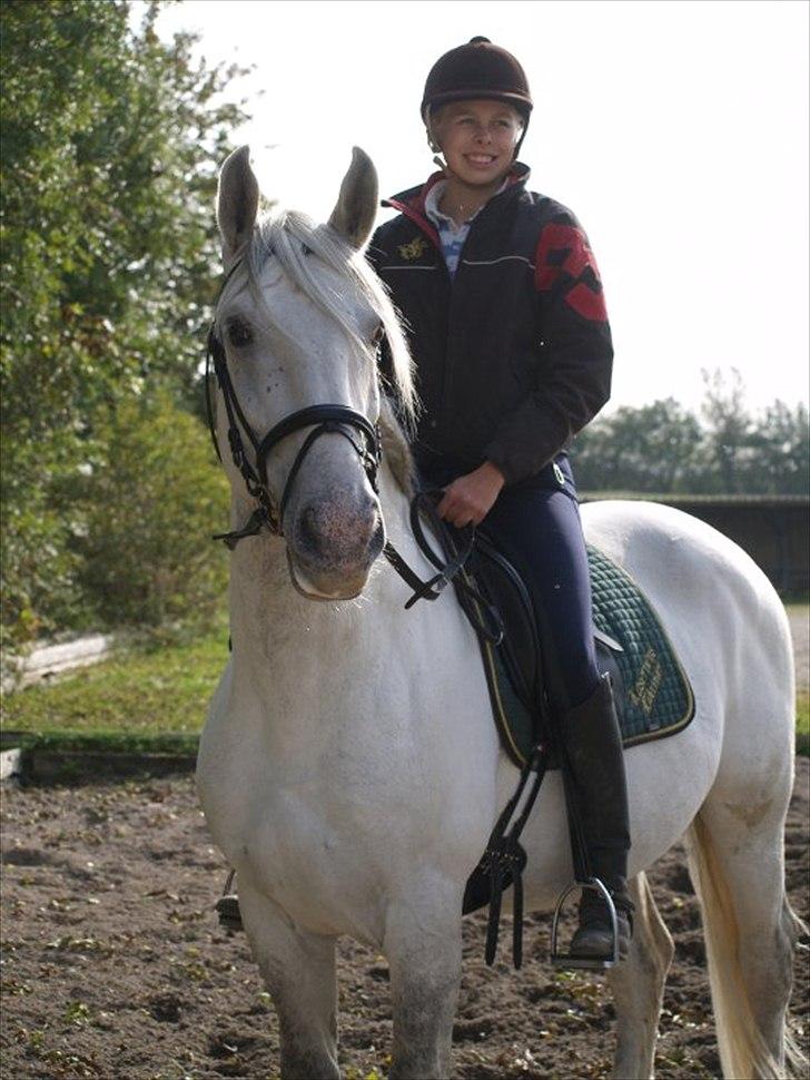 Lipizzaner Amadeus ("part") billede 10