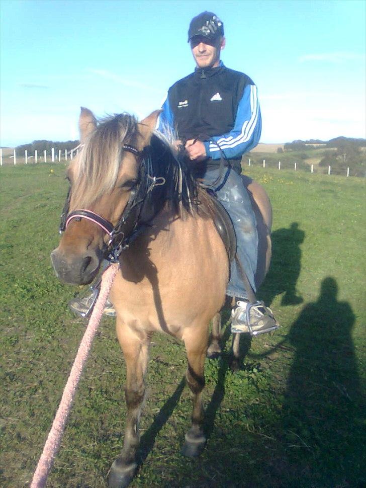 Anden særlig race Tulle (solgt og savnet) - He He min far er bange for heste men nu har han bestemt han vil lære at ride.....Tulle giver gerne en tur billede 19