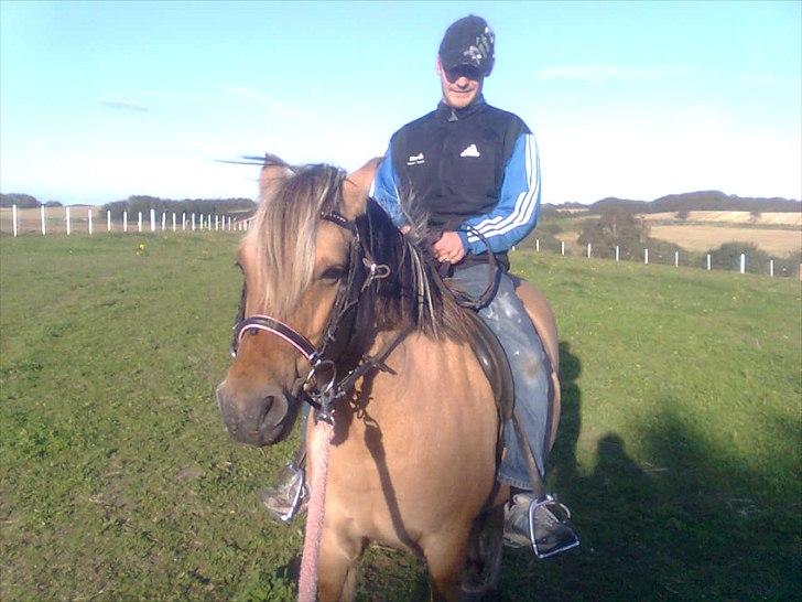 Anden særlig race Tulle (solgt og savnet) - Nu har han også travet for første gang...modige far :O)  billede 20