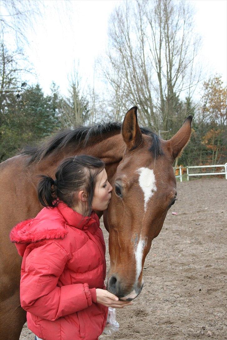 Dansk Varmblod Goldie R.I.P )': - Goldie & Jeg, jeg for lov at kysse hende.. billede 6