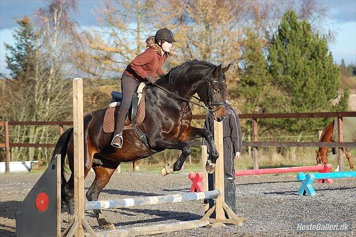 Dansk Varmblod First Lady [Savnet] - mig og First Lady springer <3 billede 4