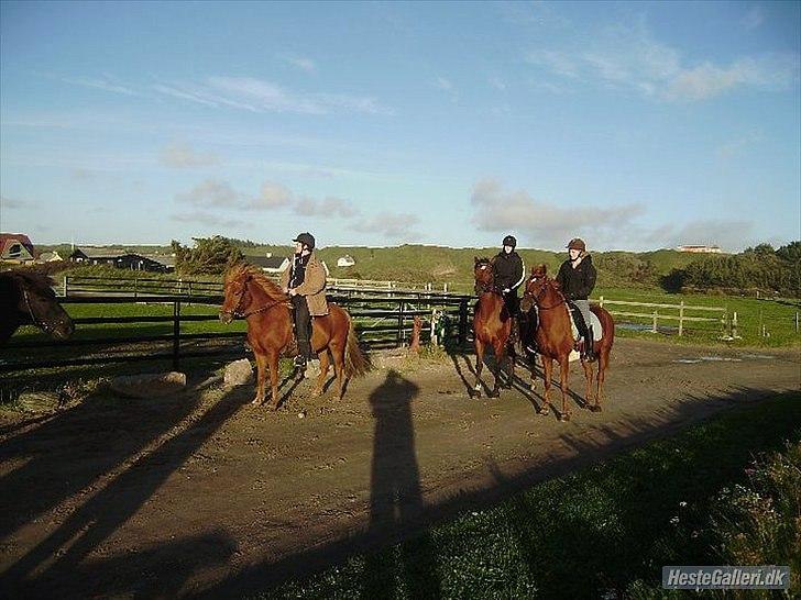 DSP Tavannah - Ved stranden billede 20