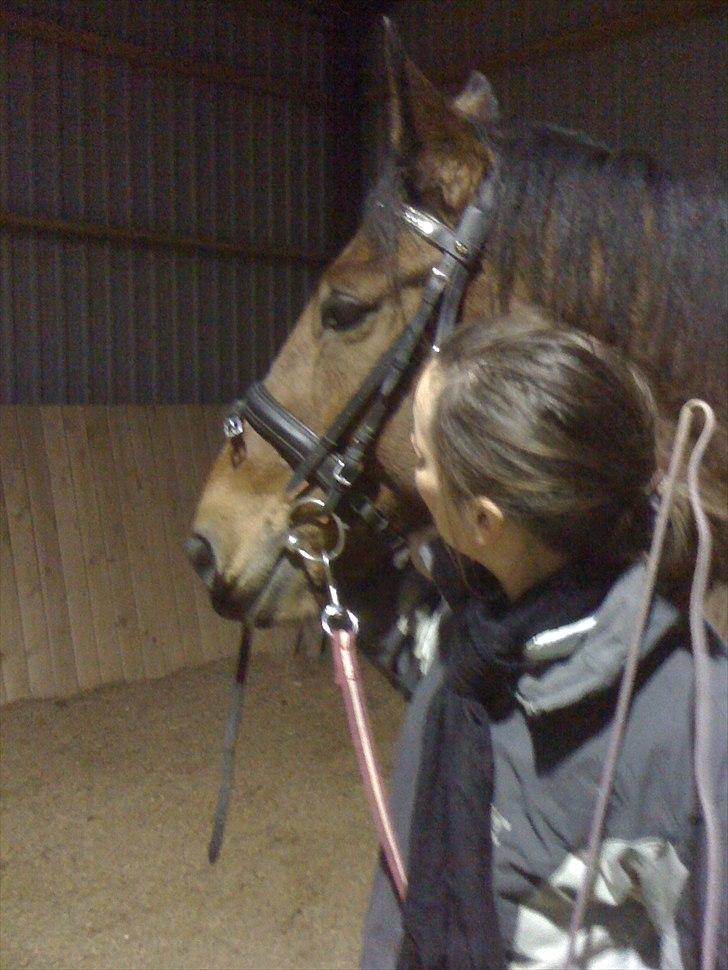 Traver Västerbo Partout *passer* billede 7