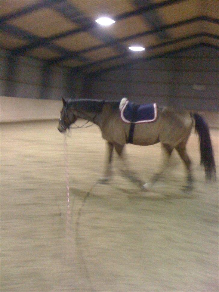 Traver Västerbo Partout *passer* billede 19