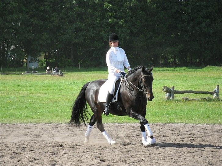 Oldenborg Pedro - Kragelund 2010 billede 3