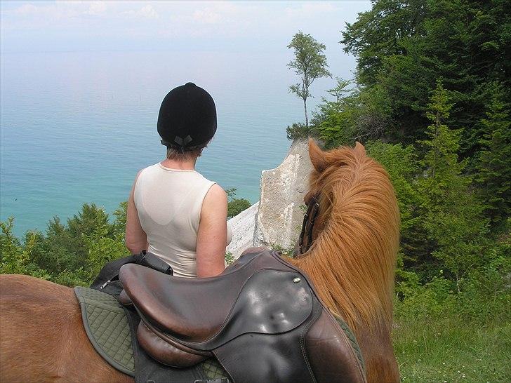 Islænder Sigyn fra Madumsø - Mutti og Sigyn kigger ud over Klinten (rideferie på Møns Klint). Foto: Min søster billede 15