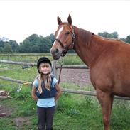 Anden særlig race Dancing Daizy SOLGT