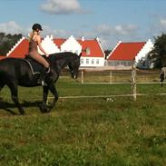 Anden særlig race Can´tali