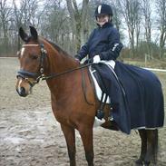 Anden særlig race Langbjergs Mocca