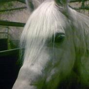 Anden særlig race Anna-bell <3 :D