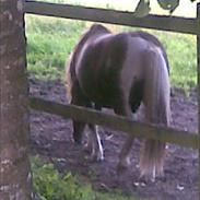 Anden særlig race surtsey<3 *passer*