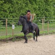 Frieser Selina Ellemose