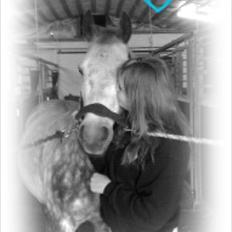 Anden særlig race Varin<3 verdens dejligste pony ! <3