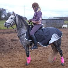 Anden særlig race Varin<3 verdens dejligste pony ! <3