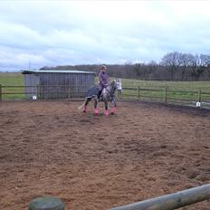 Anden særlig race Varin<3 verdens dejligste pony ! <3