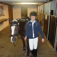 Welsh Mountain (sec A) Lollipop