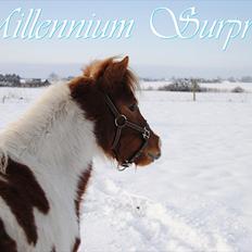 Dansk Miniature SH Millennium Surprise
