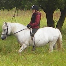 Anden særlig race Sif