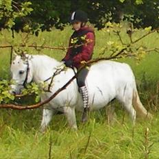 Anden særlig race Sif