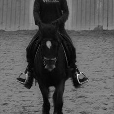 DSP Mon Cherie (SOLGT)