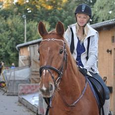 Dansk Varmblod Bijou - R.I.P. min skat! <3