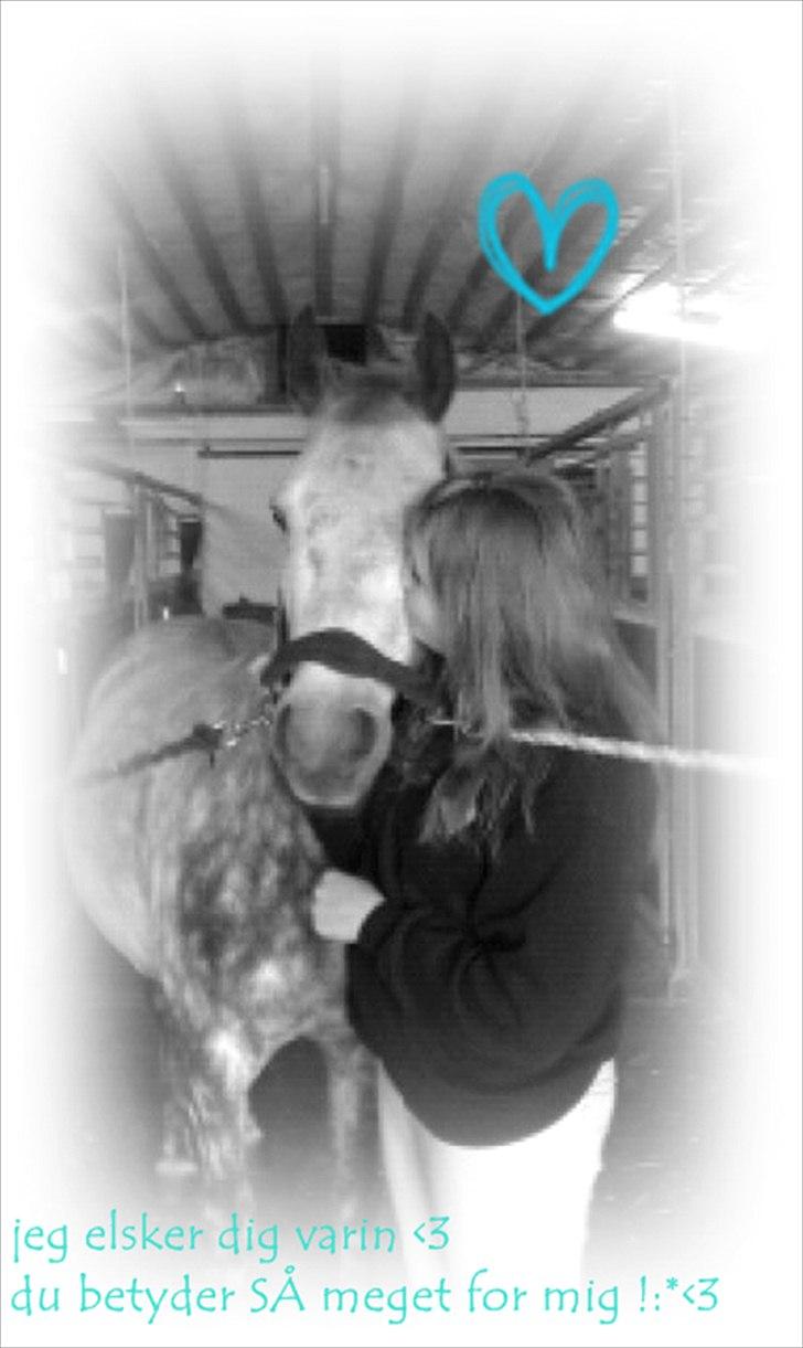 Anden særlig race Varin<3 verdens dejligste pony ! <3 - velkommen til varins profil :D billede 1