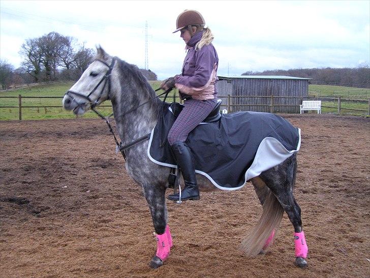 Anden særlig race Varin<3 verdens dejligste pony ! <3 - <3 billede 2