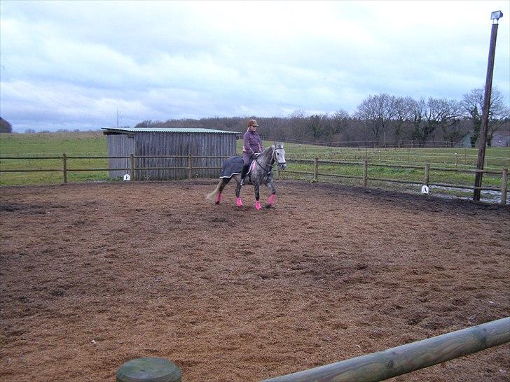 Anden særlig race Varin<3 verdens dejligste pony ! <3 - <3 billede 3